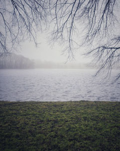 Day 8, 21 January 2025