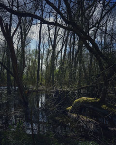 Day 77, 31 March 2025