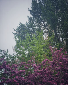 Day 94, 17 April 2025